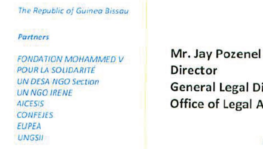 Close-up of the original: Partners, including UN DESA NGO Section and UN NGO IRENE.